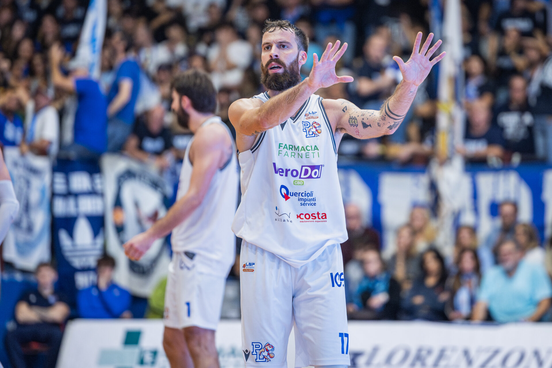 Serie B Nazionale: la VeroDol CBD PL torna al Pala Macchia e sfida Chiusi