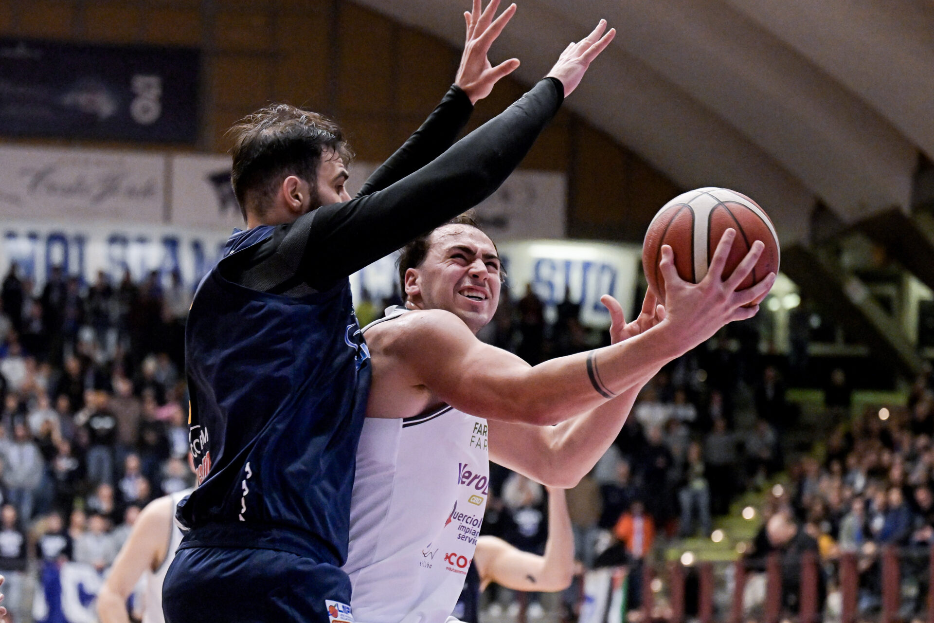 Serie B Nazionale: al Pala Macchia va in scena la sfida tra VeroDol CBD PL e Ferrara